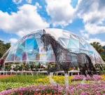 Waterproof Geodesic Dome Tent Aluminum Frame UV Resistance Cover