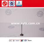 Hot sale Chinese Cummins Engine parts 3921444 Diesel Motor DCEC exhaust valve