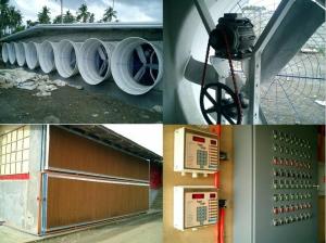 Quality WorldPoultry - Night time cooling pad operation during extremely hot wholesale