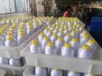 150D/2 Polyester Machine Embroidery Thread 100% Polyester Yarn