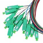 12 Strand Fiber Optic Patch Cord Single Mode SC G657A2 Bend Insensitive Fiber 2m