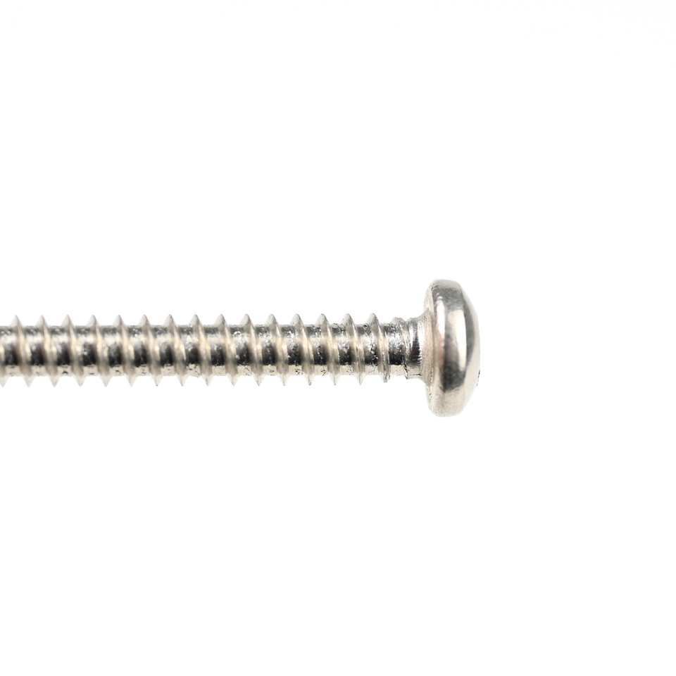 Stainless Steel Torx Pan Head Ss304 Self Tapping Dovetail Screw for and Durable Finish