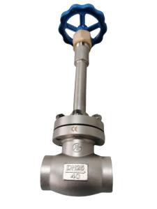 Quality SS304 SS316 Socket Weld Cryogenic Service Valves DN10 To DN100 For Cryogenic Tank wholesale