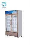 Upright 2 Door Glass Commercial Freezer Drink Fan Cooling