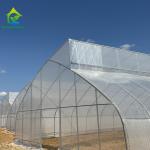 Commercial Metal Frame Agriculture Plastic Film Greenhouse With Hydroponic