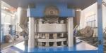 600KN Rotary Press Machine For 60mm Chlorine Tablet