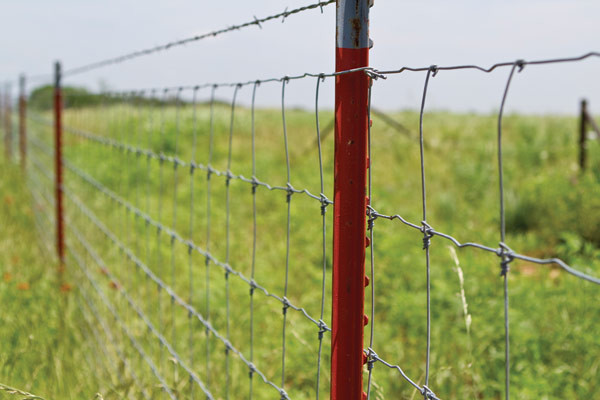 164ft Galvanized Steel Wire Mesh Fence Animal Field Zoo Wild Fencing Roll