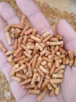 Pellet press machine
