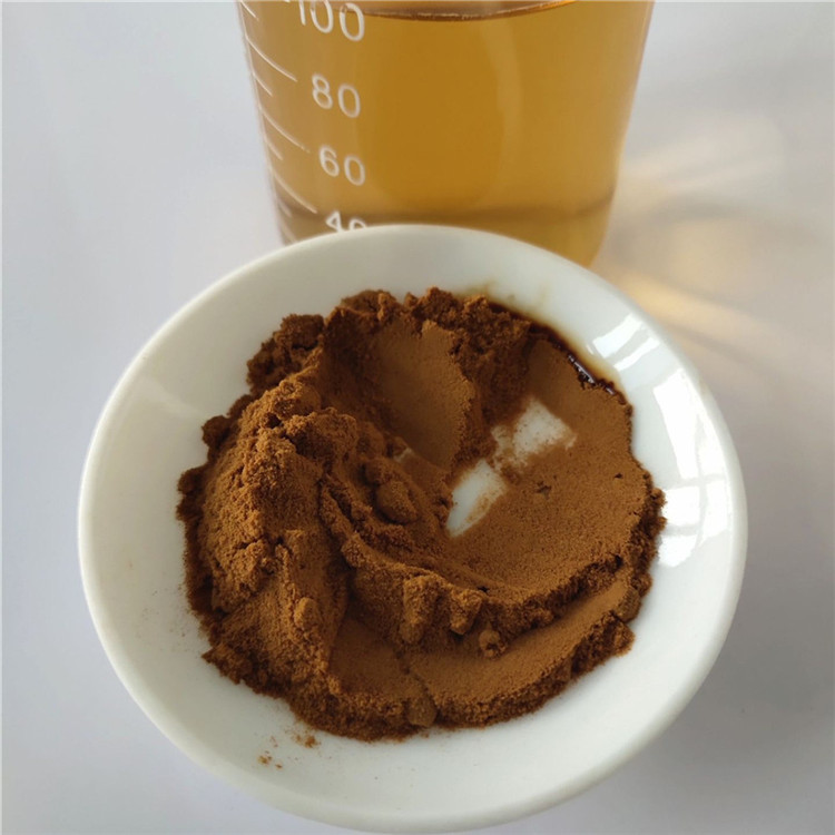 Best Price Sage Extract/Salvia Officinalis Extract