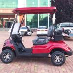 Customized Golf Cart Electric Factory Wholesale New Design 4 Wheel 2 Seater