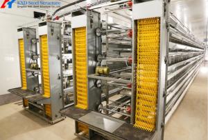 Quality Steel Chicken Layer Cages A Type H Type Automated Battery Cage wholesale