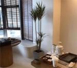 Moisture-Proof Waterproof Micro Cement Paint for Interior and Exterior Spray