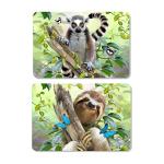 Plastic Colorful 3d Printing Place Mat Lenticular Flip For Kitchen Table