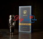 Uf 2.5V Heater Stereo Vacuum Tubes With Cathode Bias 80mA PSVANE WE275