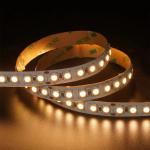 12V 24V Chasing Soft Outdoor Silicone Smart Light Smd Flexible Led Neon Strip