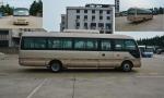 Eco - Friendly Tourist Mini Bus Diesel Engine Low Fuel Consumption