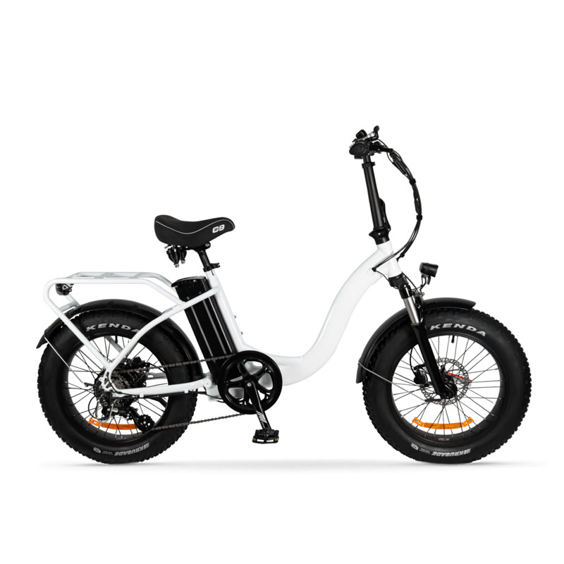 Customized 36v 500w Power Supply 20" Foldable Electric Bike with 7 Speeds and Fat Tyre