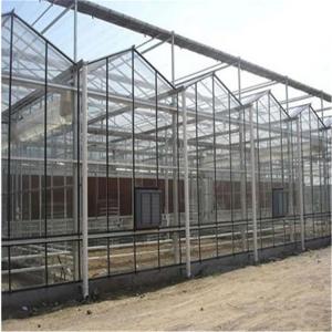 Quality Tempered Glass Panel Venlo Type Greenhouse Multispan For Vegetables Hydroponic wholesale
