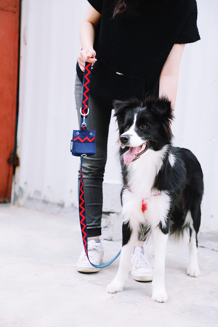 Personalised Black Neoprene Dog Poop Bag Holder Cute Dog Poop Bag Dispenser
