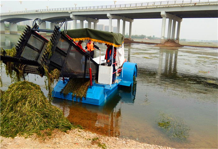 Self Propulsion 10M2 Body Pond Weed Harvester River Weed And Floating Cleaning