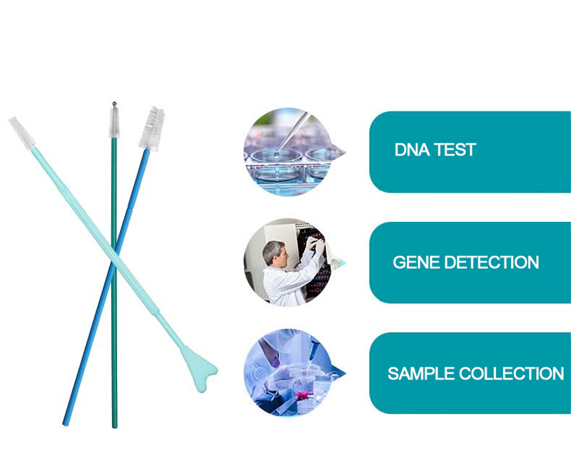 Sterile HPV Nylon Disposable Cytology Brush With Ball Head
