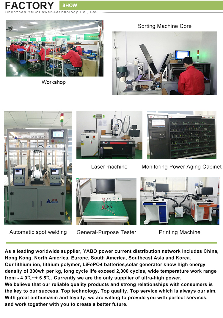 48V 100Ah 200Ah Lifepo4 House Battery 1000W Golf Cart