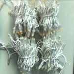 Super brightness 10LM/LED 220V Gluing IP65 outdoor Christmas festival white LED