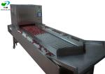 semi-auto green plum/cherry pitting machine fruits seeds removing machine
