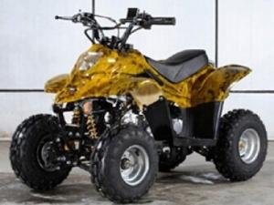 Quality 50cc-125cc Air Cooled Children ATV wholesale