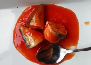 Quality Tinned Mackerel Fish Body Part / Tail / Whole Piece In Tomato Sauce wholesale