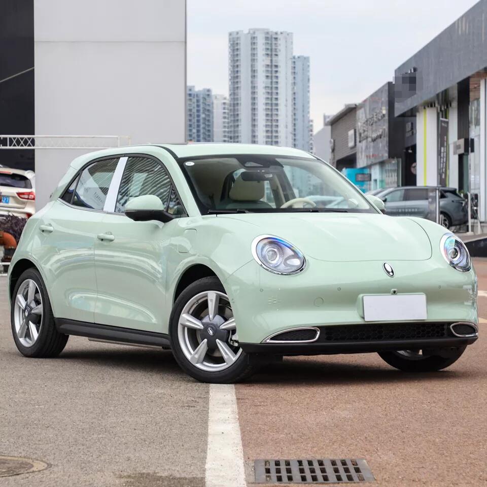 Hot Mini ORA EV Car Energy Vehicles 2023 ORA Good Cat Electric Car with 170 HP Motor and 425/600 km Cruising Range