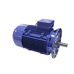Quality Electric Ac Squirrel Cage Motor Induction Machine Squirrel Cage wholesale