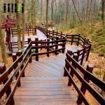 Select Bamboo Wooden Install Plank Floor bamboo stair bamboo stair handrail