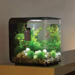 Double Side Glass Aquarium Cleaning Tool