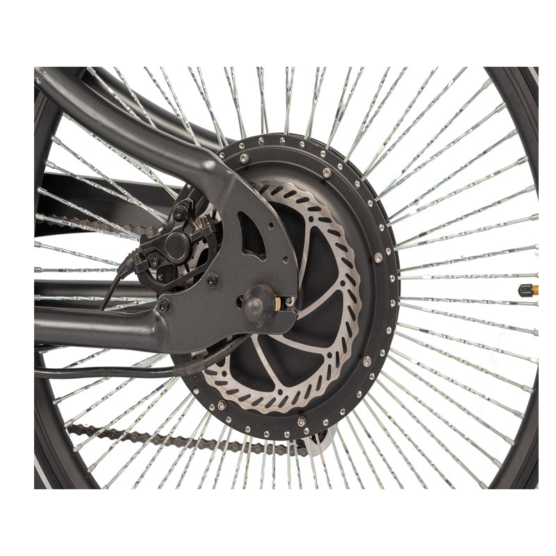 750W Brushless Motor Electric Motorcycle with 26 Inch Tires and 45KM Travel Distance