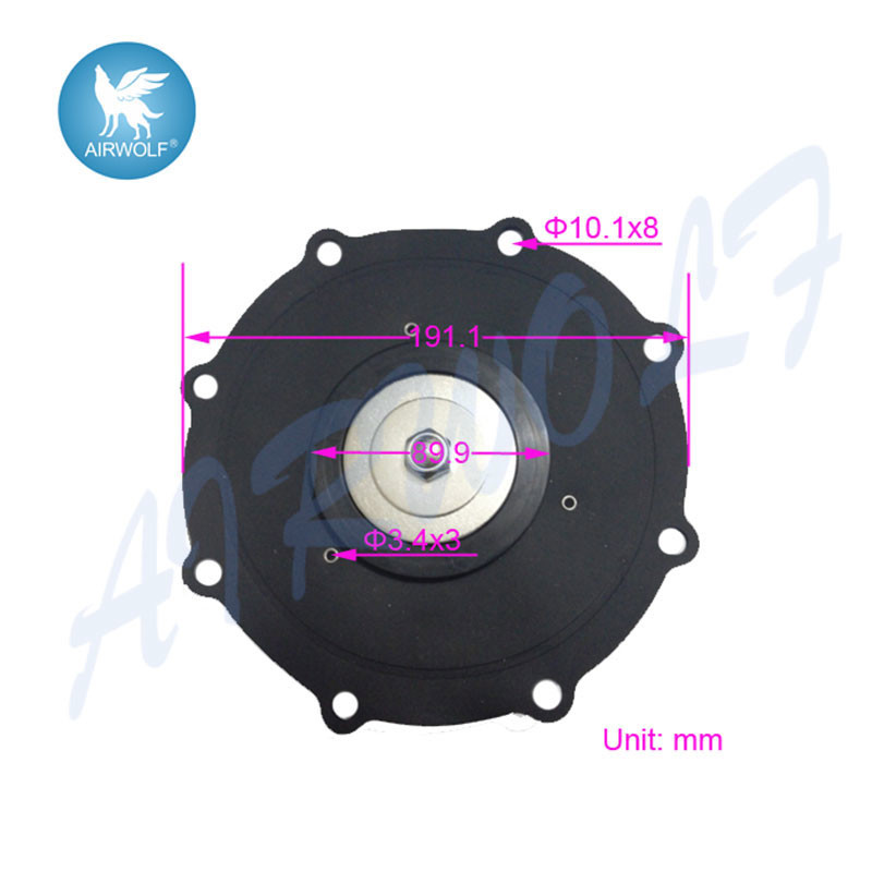C113928 Diaphragm Repair Kit For SCXE353.060