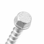 Payment term T/T Carbon Steel Hex Head Concrete Bolts Self Tapping Concrete