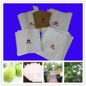 Quality Protection bag for guava Skype yu.zhang951 wholesale