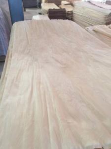 Quality birch veneer wholesale