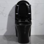 1pc American Standard One Piece Dual Flush Toilet Syphon Flush Valve
