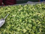 IQF Broccoli Florets 3-4cm / 4-5cm Frozen Green Vegetables BRC