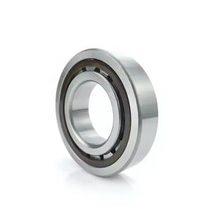 Quality Single Row Cylindrical Roller Bearing NJ1008 NJ1008EM 40*68*15MM wholesale