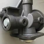 1613679300 Intake Valve