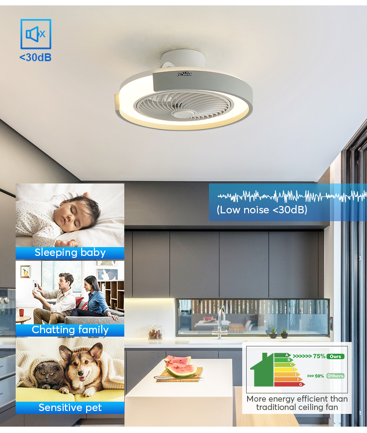20" Round LED Ceiling Fan with 360 Degree High Airflow and Color Temperature Options