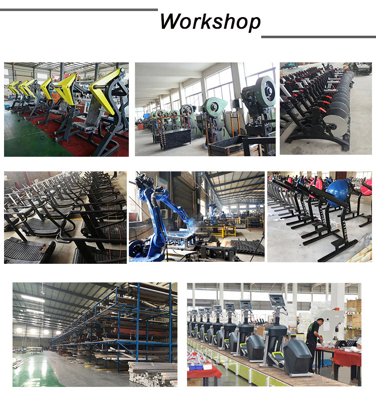 Integrated Heavy Duty Gym Equipment , Leg Extension Machine CE ISO Approval