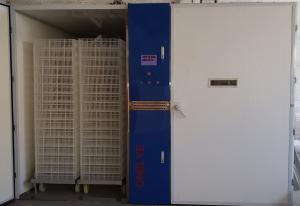 Quality 28800 Chicken Egg Incubator Equipment Chicks Hatchery Machine wholesale