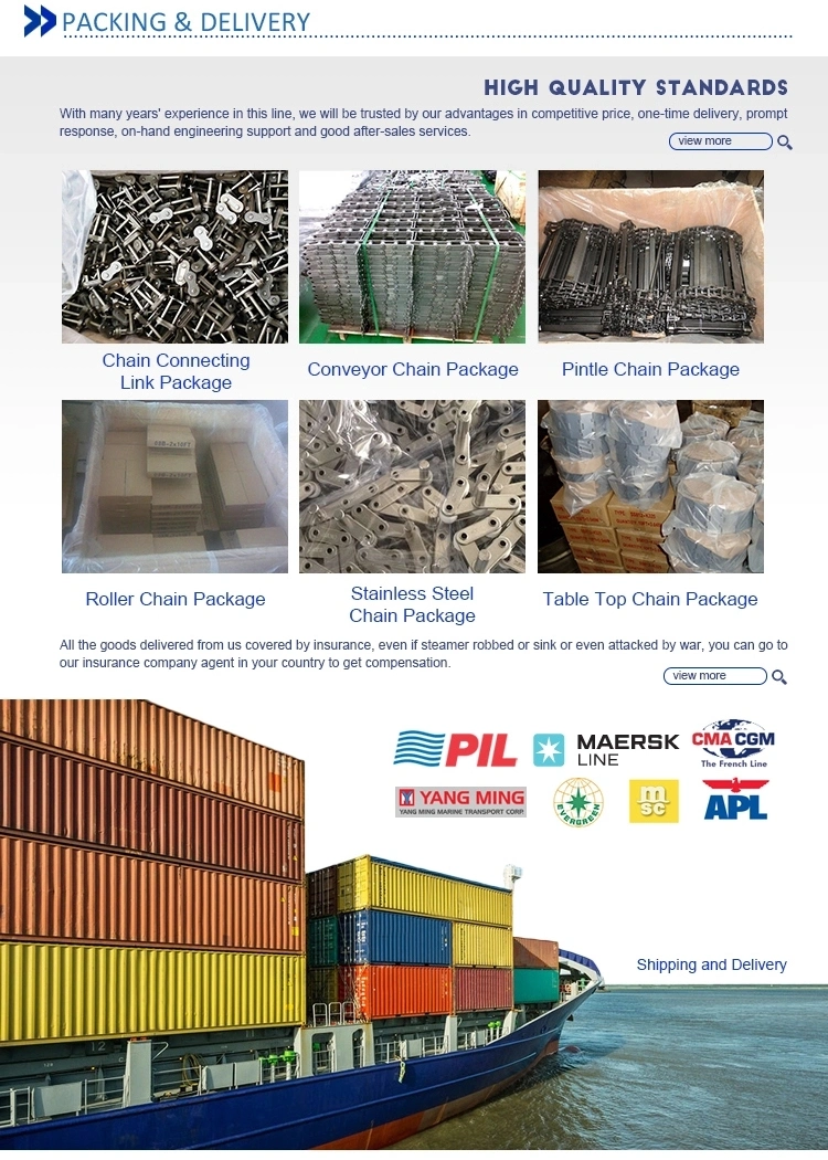 Customized Special Conveyor Transmission Roller Chain for Industrial Usage with Attachment