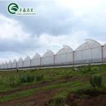 Ventilation Vents for Optimal Growth of Tomatoes and Other Vegetables in