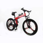 1000W 48V Chopper Electric Folding Mountain Bike Max Speed 50km/h