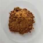 Villous Amomum Fruit Extract/villous amomum fruit